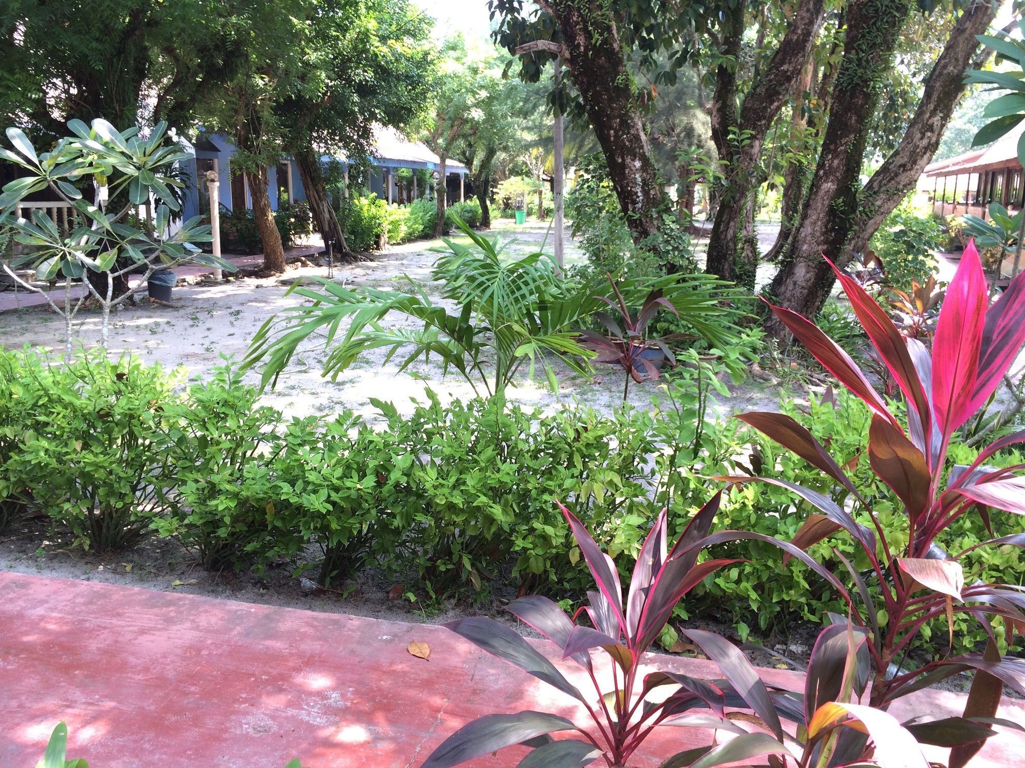 Hotel Corrie Chalet Langkawi Pantai Cenang  Esterno foto